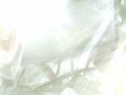 ファイル 2350-4.jpg