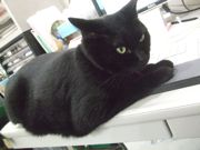 ファイル 2351-1.jpg