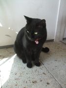 ファイル 2356-1.jpg