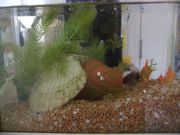 ファイル 2358-1.jpg