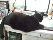 ファイル 2366-4.jpg