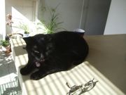 ファイル 2377-1.jpg