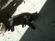 ファイル 2377-2.jpg