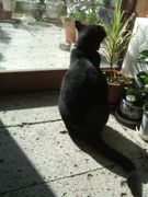 ファイル 2377-3.jpg