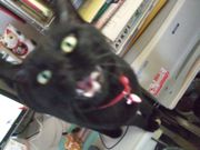 ファイル 2377-4.jpg