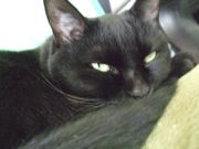 ファイル 2378-4.jpg