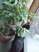 ファイル 2382-1.jpg