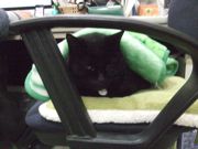 ファイル 2386-1.jpg