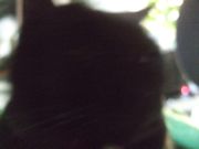 ファイル 2399-1.jpg