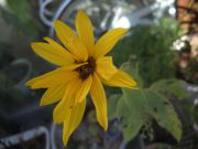 ファイル 2400-1.jpg