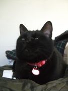 ファイル 2403-4.jpg