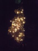 ファイル 2408-1.jpg