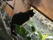 ファイル 2410-1.jpg