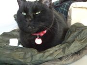 ファイル 2417-1.jpg