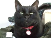 ファイル 2417-2.jpg