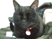 ファイル 2417-3.jpg