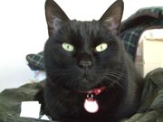 ファイル 2417-4.jpg