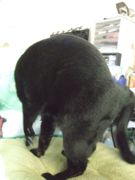 ファイル 2418-1.jpg