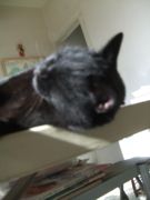 ファイル 2425-3.jpg