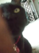 ファイル 2425-4.jpg