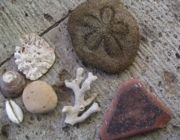 ファイル 2428-1.jpg