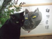 ファイル 2438-1.jpg