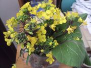 ファイル 2449-1.jpg