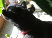 ファイル 2449-2.jpg