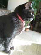 ファイル 2449-3.jpg