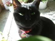 ファイル 2449-4.jpg