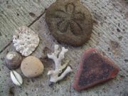 ファイル 2452-2.jpg