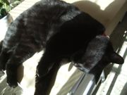 ファイル 2452-3.jpg