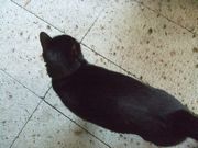 ファイル 2459-1.jpg