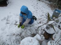 ファイル 2460-1.jpg