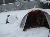 ファイル 2460-3.jpg