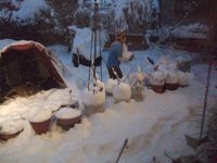 ファイル 2461-1.jpg