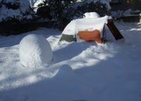 ファイル 2461-2.jpg