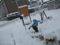 ファイル 2463-3.jpg