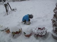 ファイル 2463-4.jpg