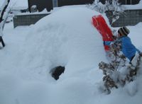 ファイル 2467-5.jpg