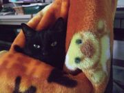 ファイル 2476-1.jpg