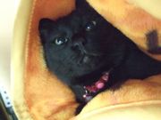 ファイル 2478-1.jpg