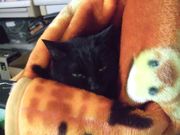 ファイル 2478-2.jpg