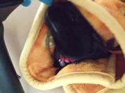 ファイル 2478-3.jpg