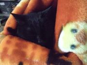 ファイル 2478-4.jpg