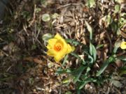 ファイル 2481-1.jpg