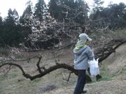 ファイル 2496-1.jpg