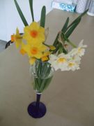 ファイル 2499-1.jpg