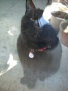 ファイル 2500-1.jpg