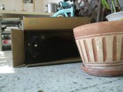 ファイル 2502-1.jpg